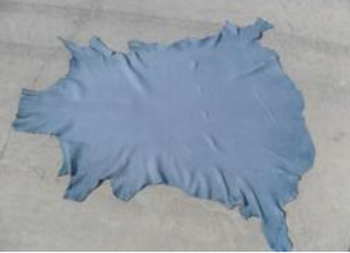 Wet Blue Leather – Export Quality AA Grade - Ajinkya - India